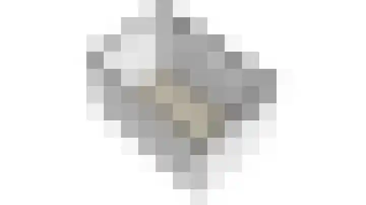 Pijnenburg 26 Vleuten thumbnail 49