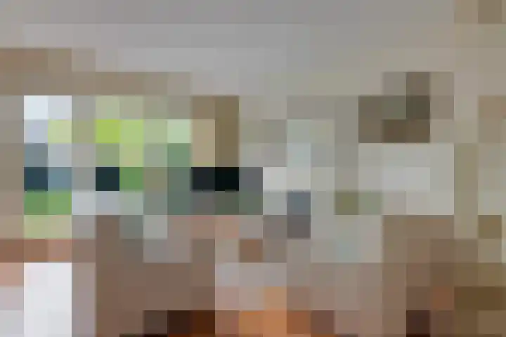 Pijnenburg 26 Vleuten thumbnail 7