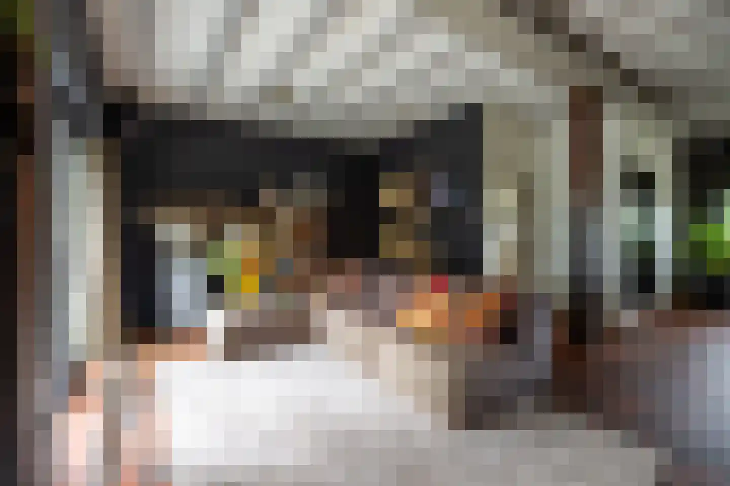 Pijnendijk 8 Moergestel thumbnail 14