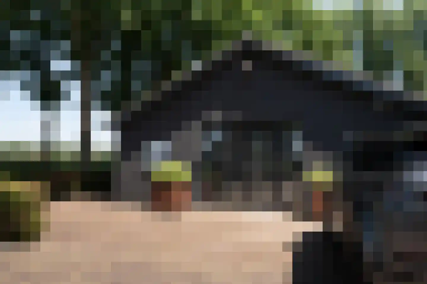 Pijnendijk 8 Moergestel thumbnail 16