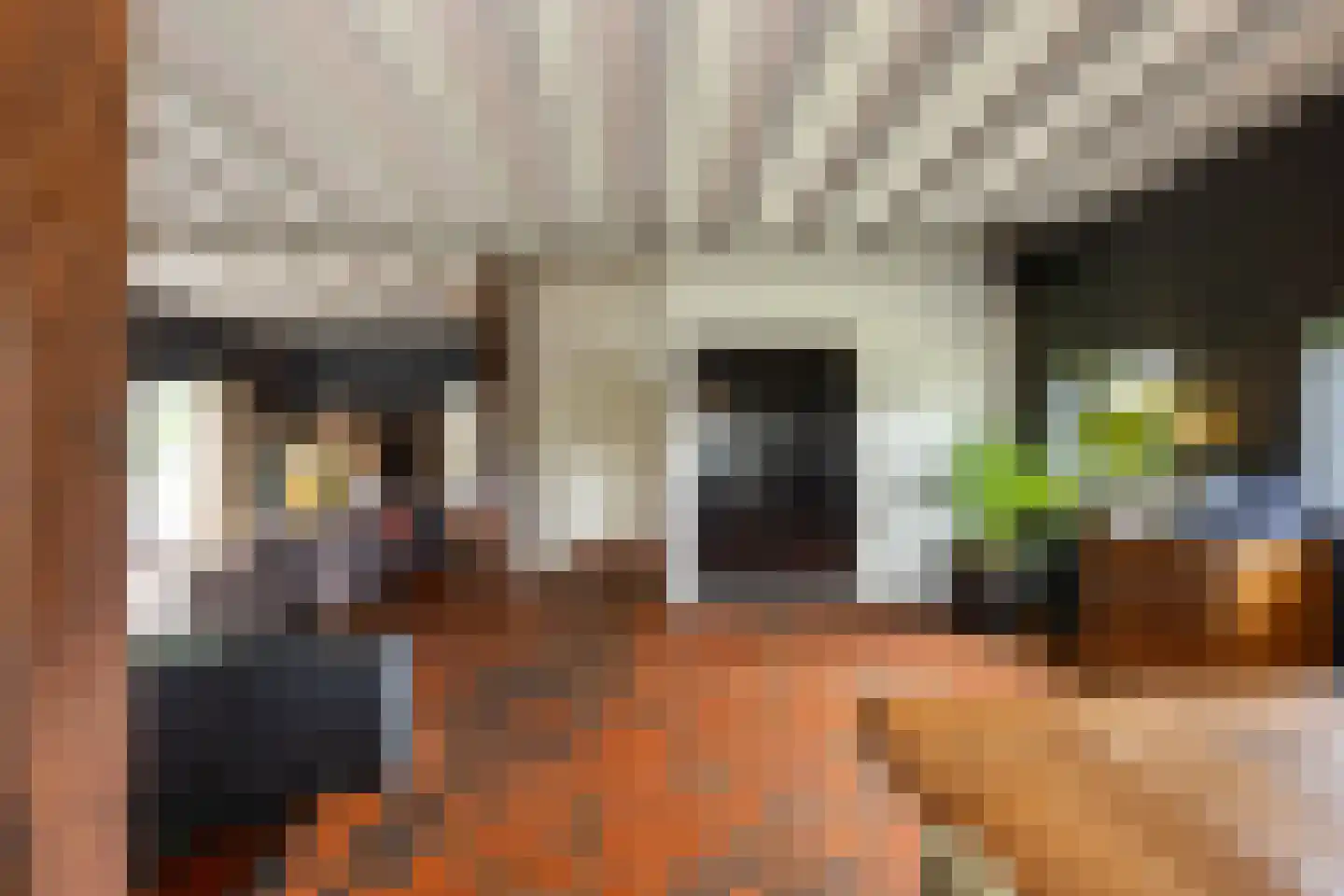 Pijnendijk 8 Moergestel thumbnail 16