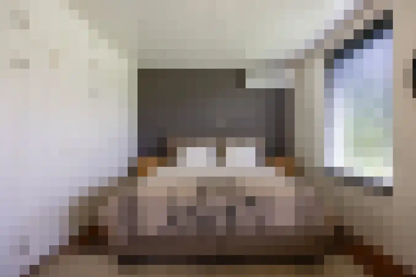 Pijnendijk 8 Moergestel thumbnail 20