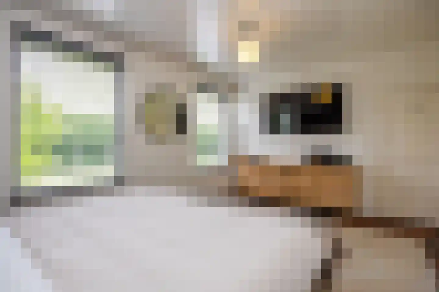 Pijnendijk 8 Moergestel thumbnail 21