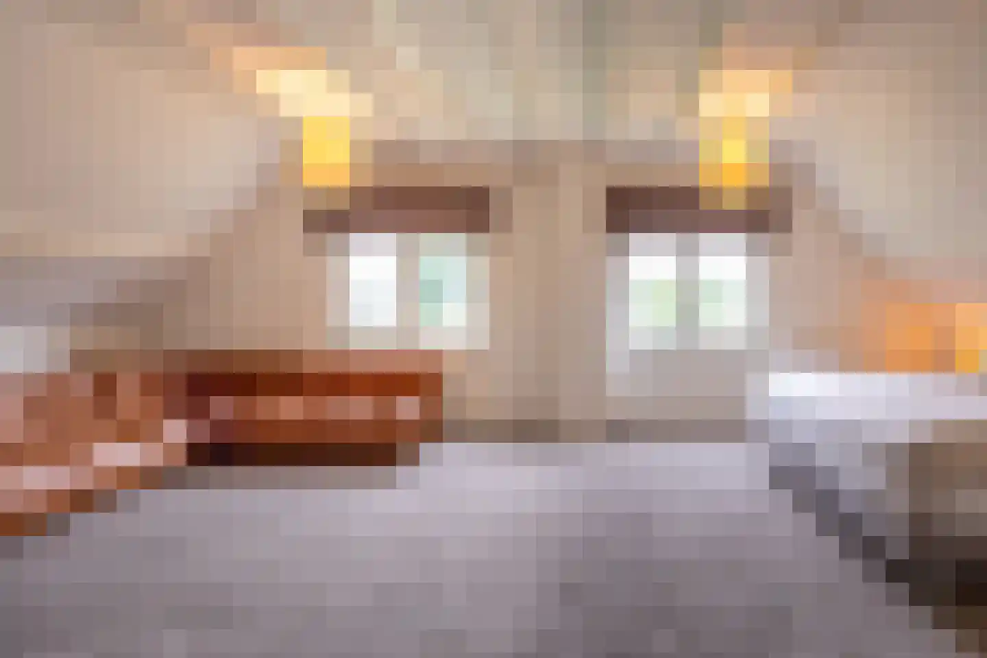 Pijnendijk 8 Moergestel thumbnail 23