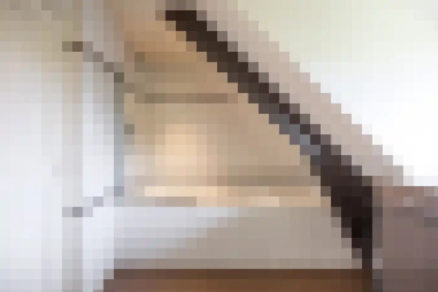 Pijnendijk 8 Moergestel thumbnail 26