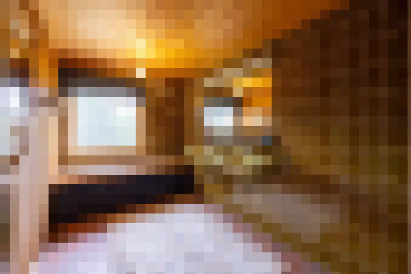 Pijnendijk 8 Moergestel thumbnail 28