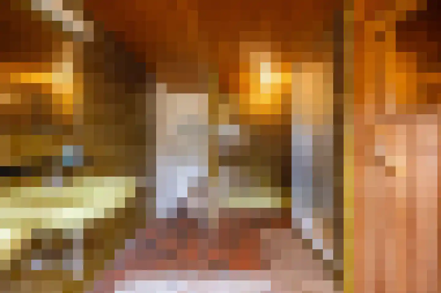 Pijnendijk 8 Moergestel thumbnail 29