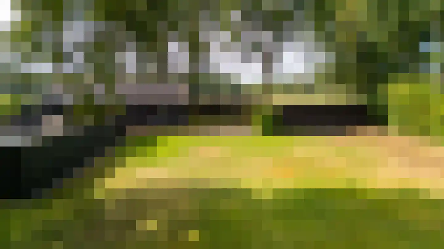 Pijnendijk 8 Moergestel thumbnail 38