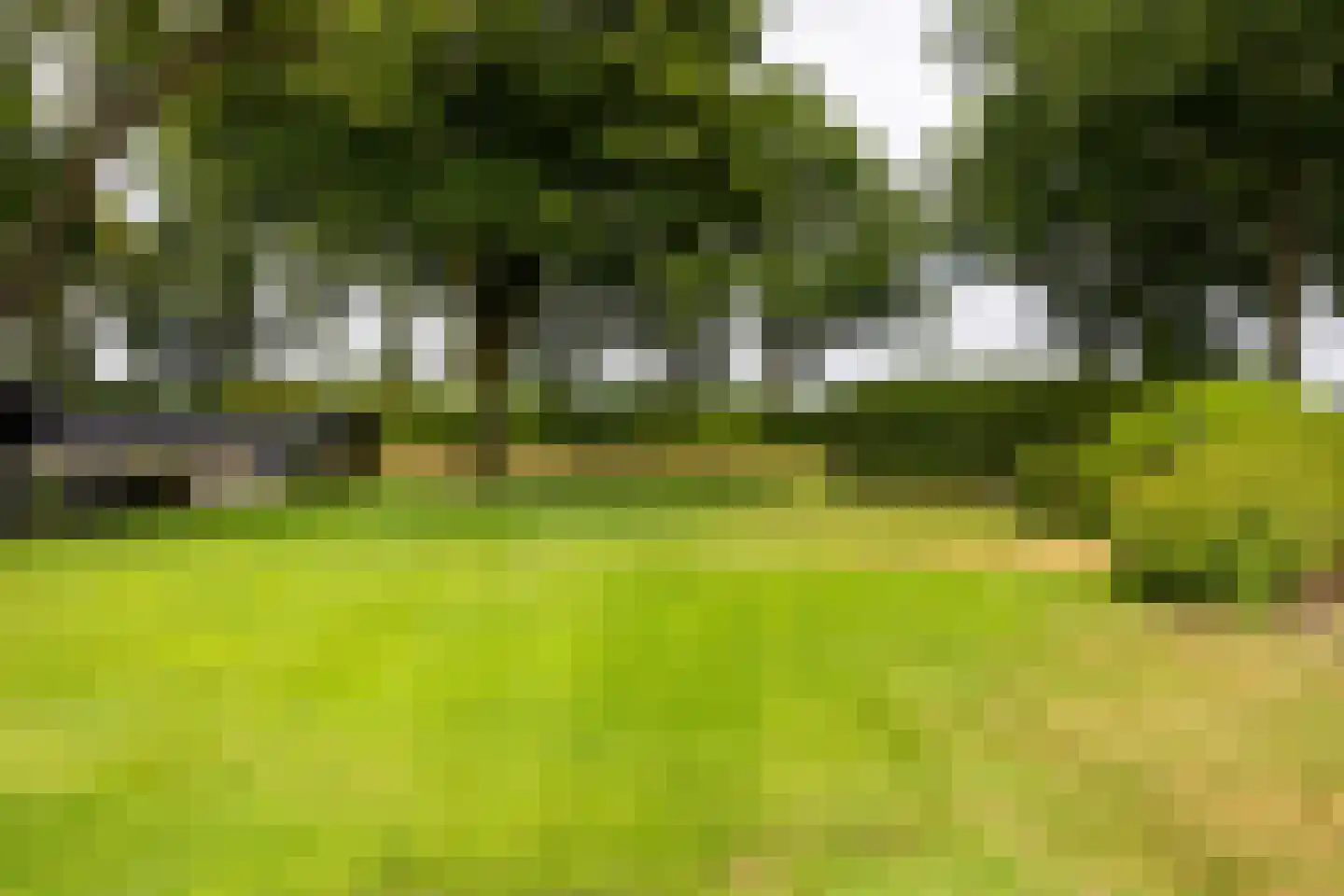 Pijnendijk 8 Moergestel thumbnail 39