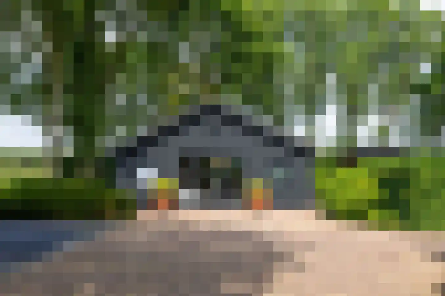 Pijnendijk 8 Moergestel thumbnail 41