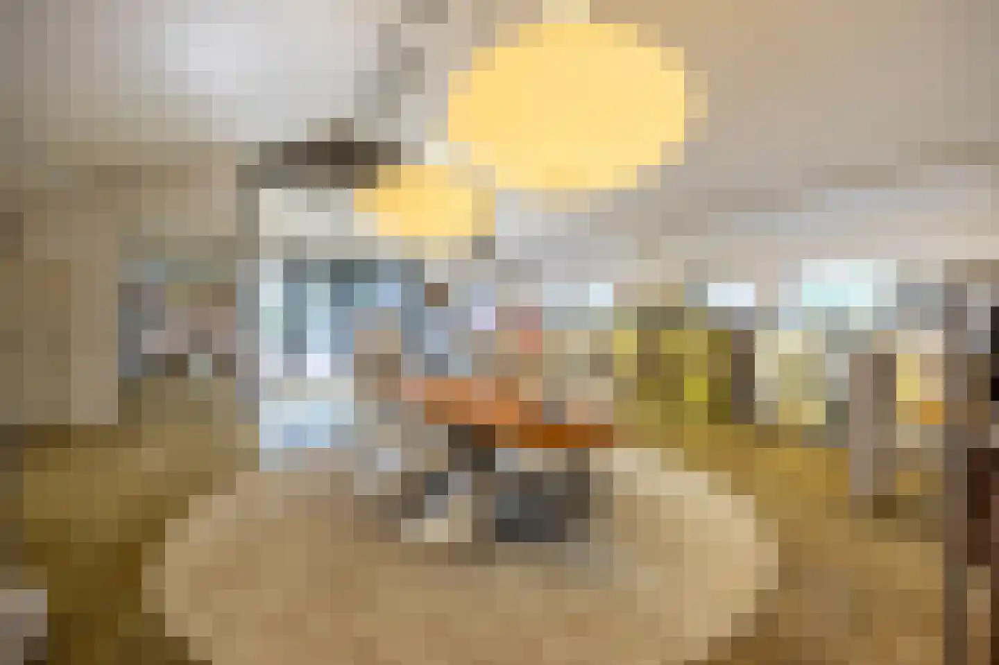 Pijnendijk 8 Moergestel thumbnail 42