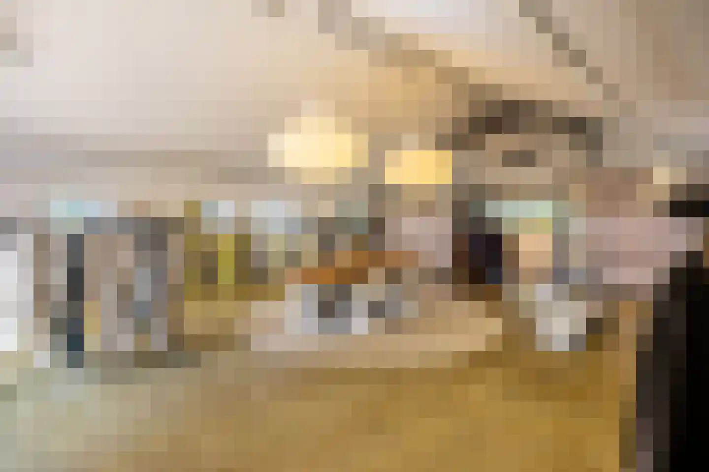 Pijnendijk 8 Moergestel thumbnail 43