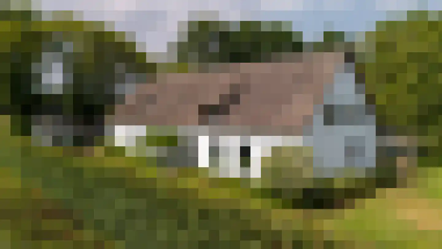 Pijnendijk 8 Moergestel thumbnail 6