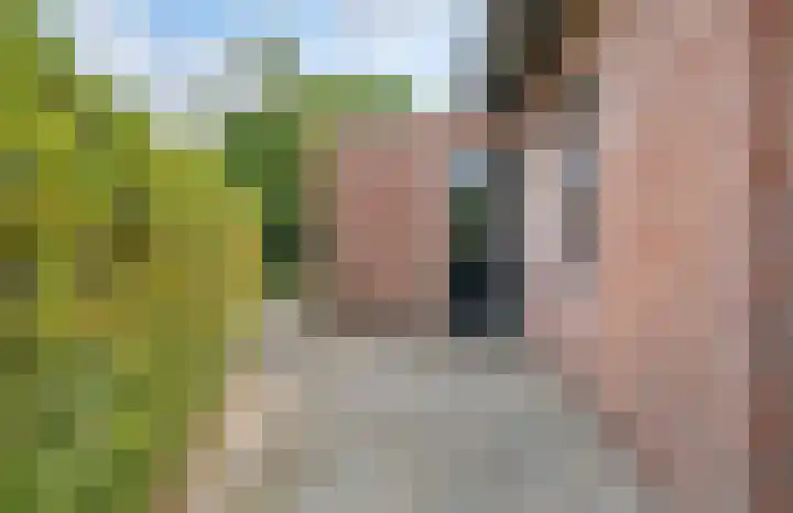Pijnhorstweg 2 Sint-Oedenrode thumbnail 27