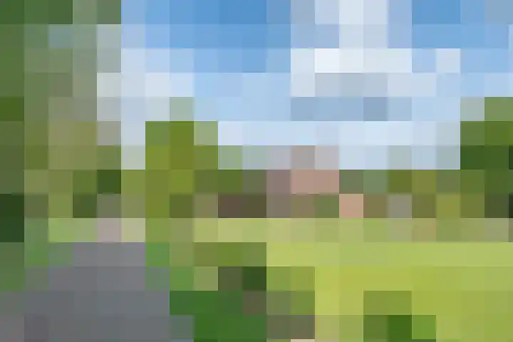 Pijnhorstweg 2 Sint-Oedenrode thumbnail 31