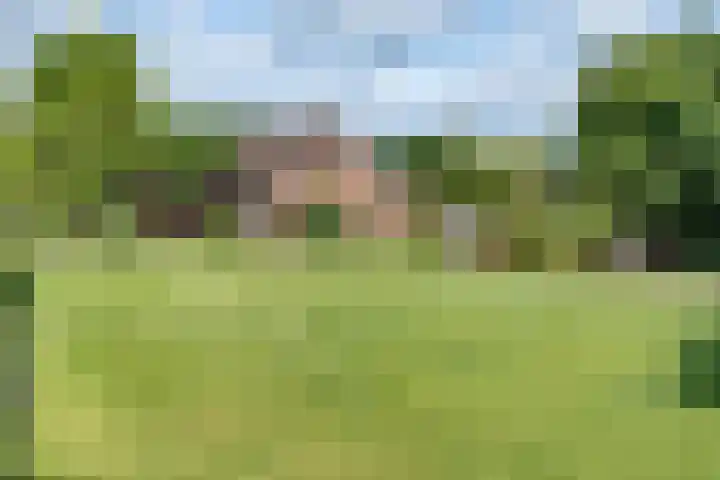Pijnhorstweg 2 Sint-Oedenrode thumbnail 32