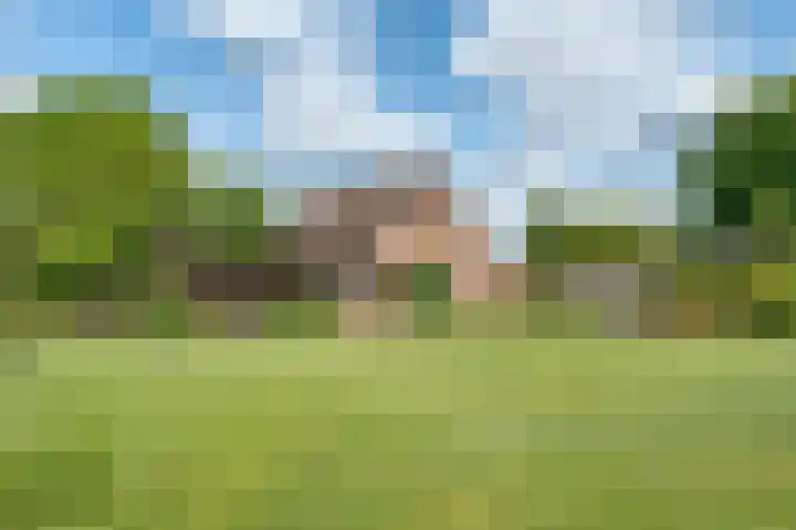 Pijnhorstweg 2 Sint-Oedenrode thumbnail 34