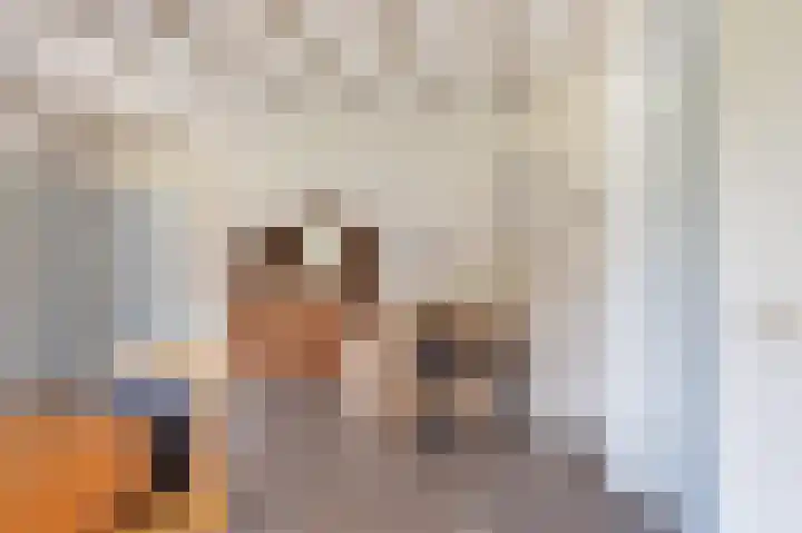 Pijnhorstweg 2 Sint-Oedenrode thumbnail 8