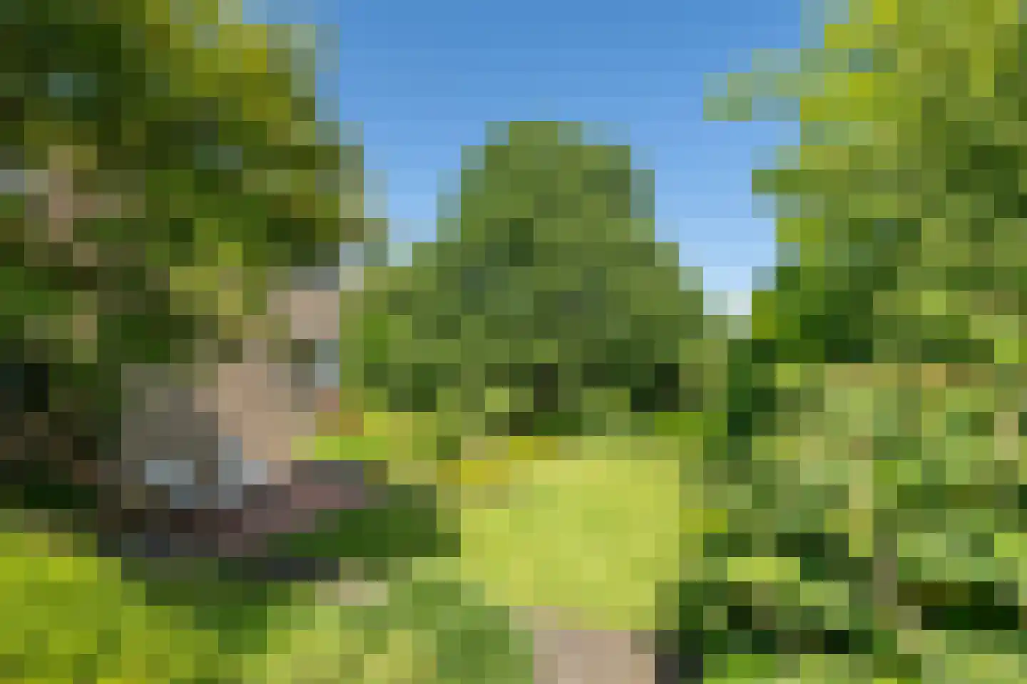 Pijnsweg 33 Heerlen thumbnail 32