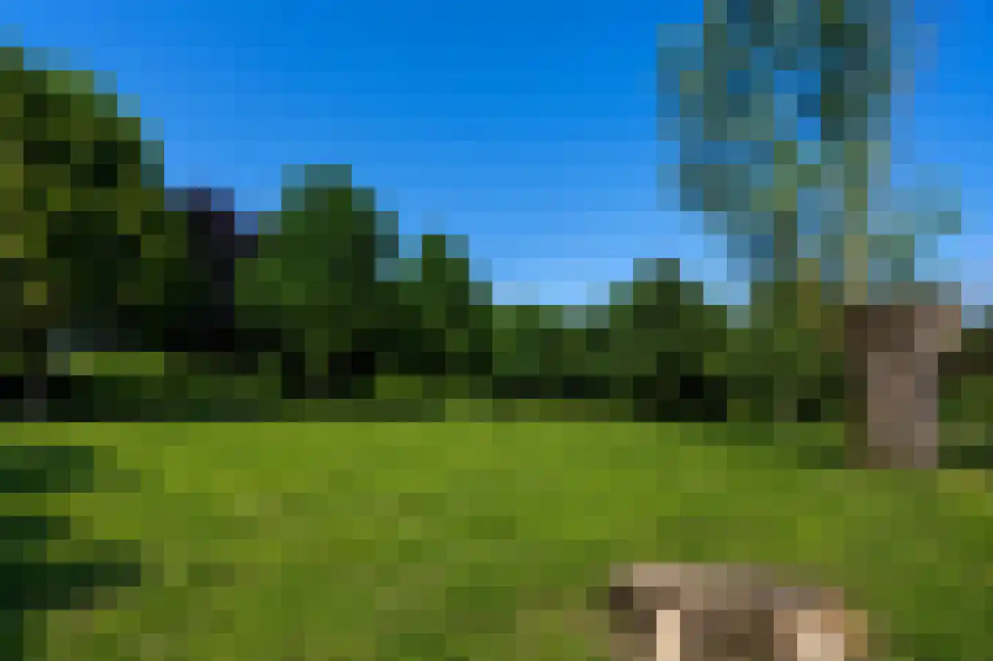 Pijnsweg 33 Heerlen thumbnail 40