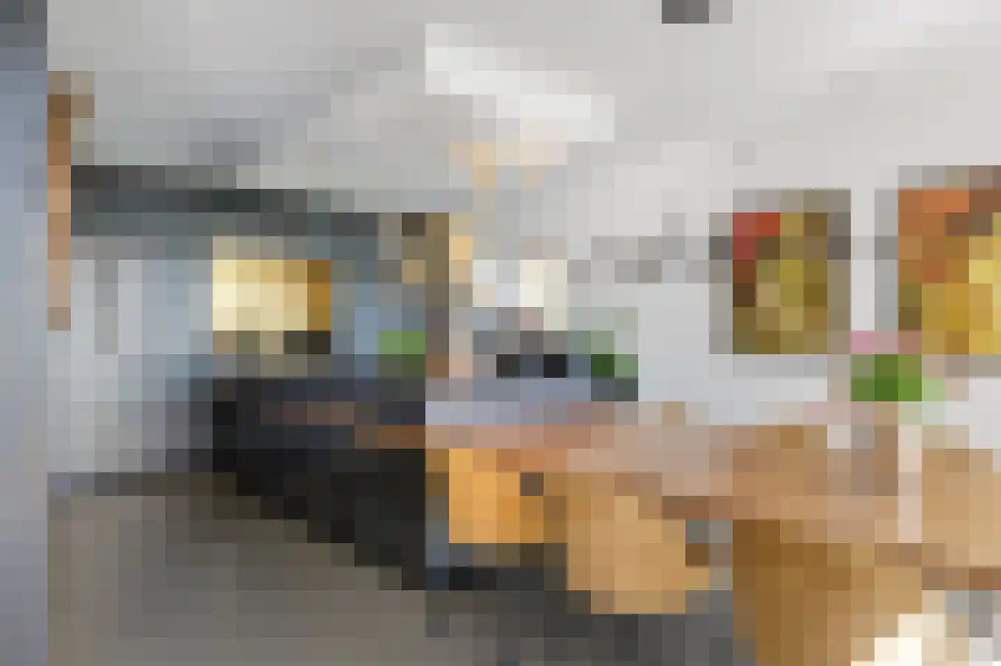 Pijntorenstraat 62 Haarlem thumbnail 9