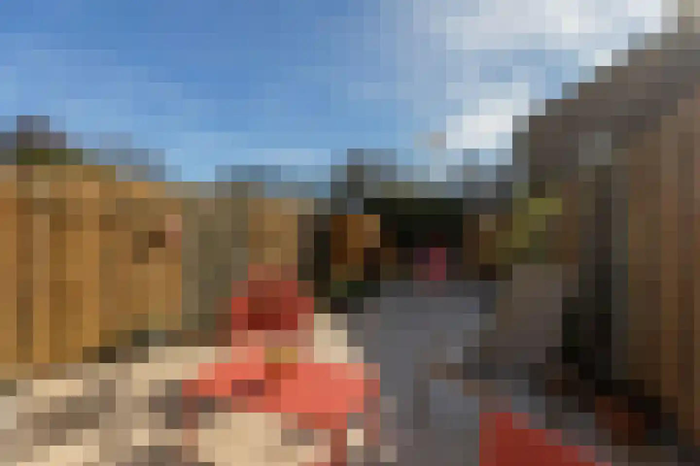 Pijpbloem 13 Rotterdam thumbnail 13