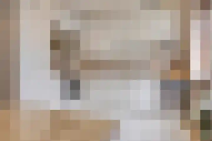 Pijpbloem 7 Rotterdam thumbnail 11