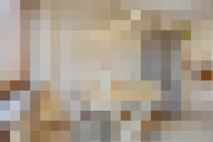 Pijpbloem 7 Rotterdam thumbnail 12