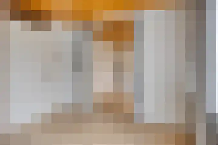 Pijpbloem 7 Rotterdam thumbnail 18