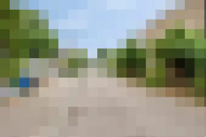 Pijpbloem 7 Rotterdam thumbnail 21