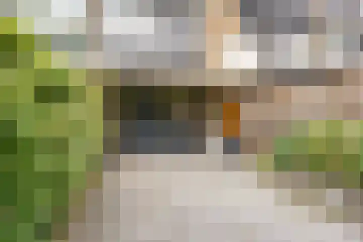 Pijpbloem 7 Rotterdam thumbnail 5