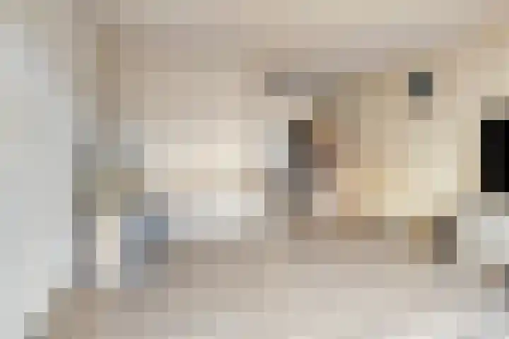 Pijpbloem 7 Rotterdam thumbnail 7