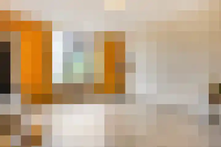 Pijpbloem 7 Rotterdam thumbnail 9