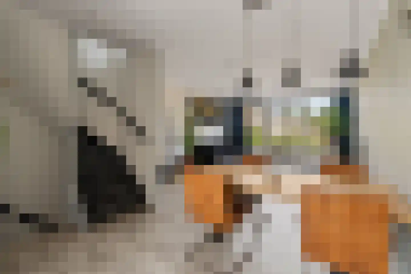 Pijpbloem 9 Rotterdam thumbnail 17