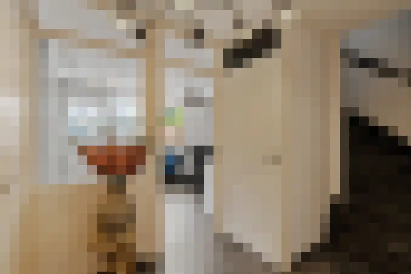 Pijpbloem 9 Rotterdam thumbnail 19