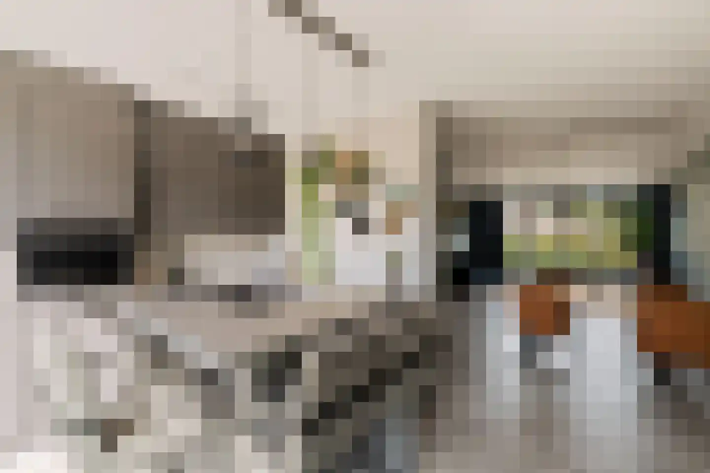 Pijpbloem 9 Rotterdam thumbnail 4