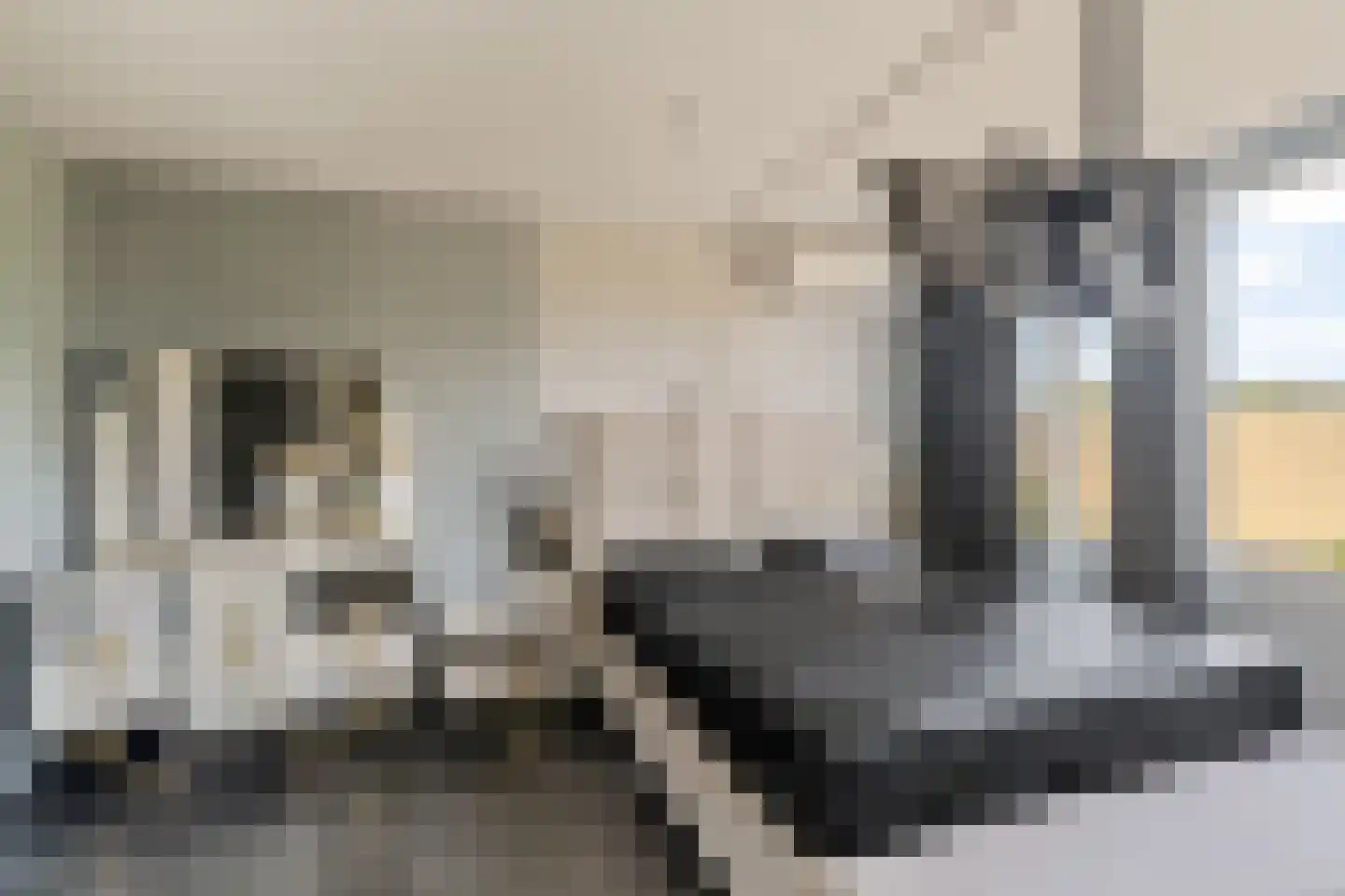 Pijpbloem 9 Rotterdam thumbnail 5