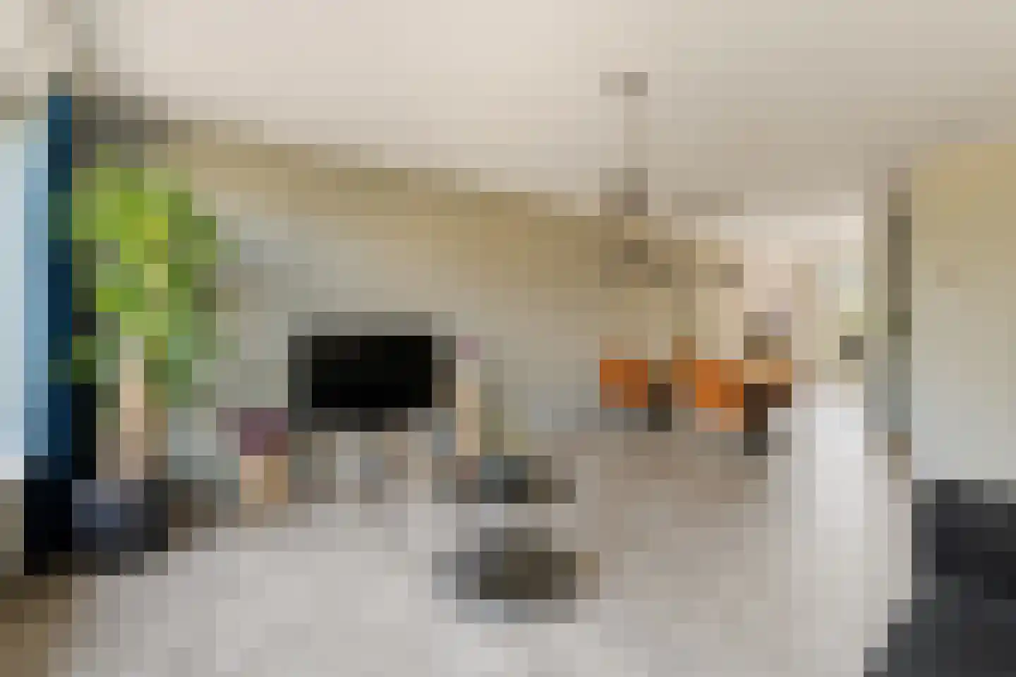 Pijpbloem 9 Rotterdam thumbnail 9