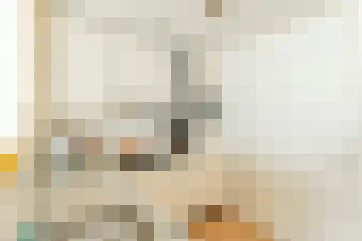 Pijpekruidlaan 9 Zoeterwoude thumbnail 11