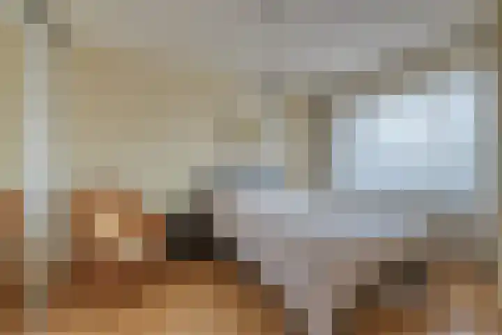 Pijpekruidlaan 9 Zoeterwoude thumbnail 13