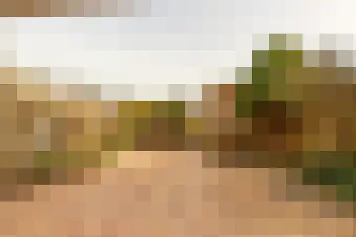 Pijpekruidlaan 9 Zoeterwoude foto 2