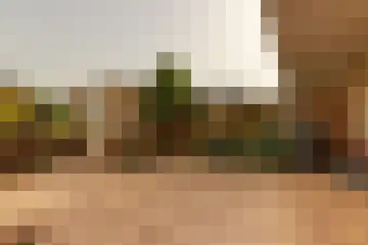 Pijpekruidlaan 9 Zoeterwoude thumbnail 23