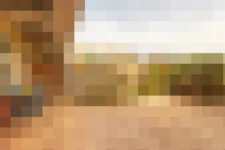 Pijpekruidlaan 9 Zoeterwoude thumbnail 24