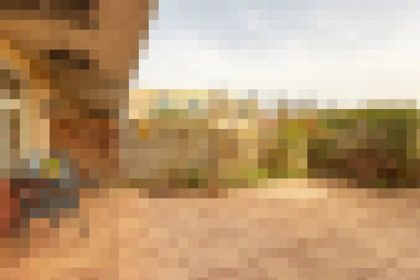 Pijpekruidlaan 9 Zoeterwoude thumbnail 24