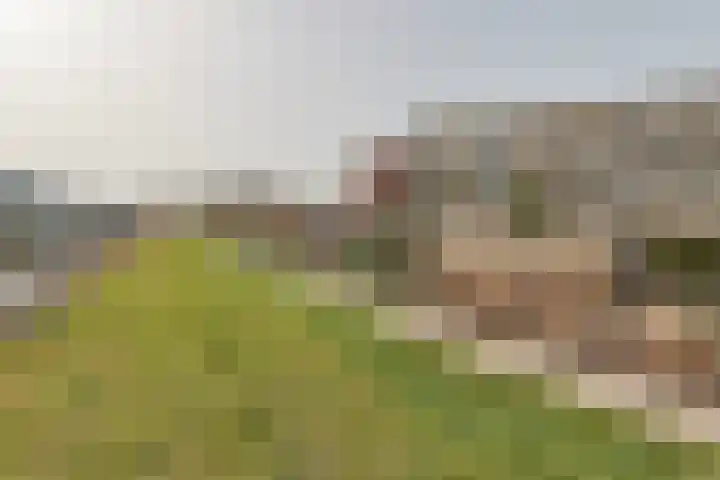 Pijpekruidlaan 9 Zoeterwoude thumbnail 30