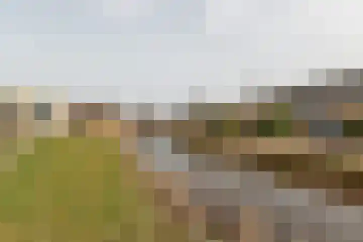 Pijpekruidlaan 9 Zoeterwoude thumbnail 31