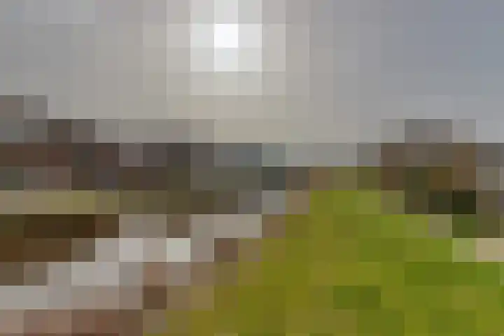 Pijpekruidlaan 9 Zoeterwoude thumbnail 32