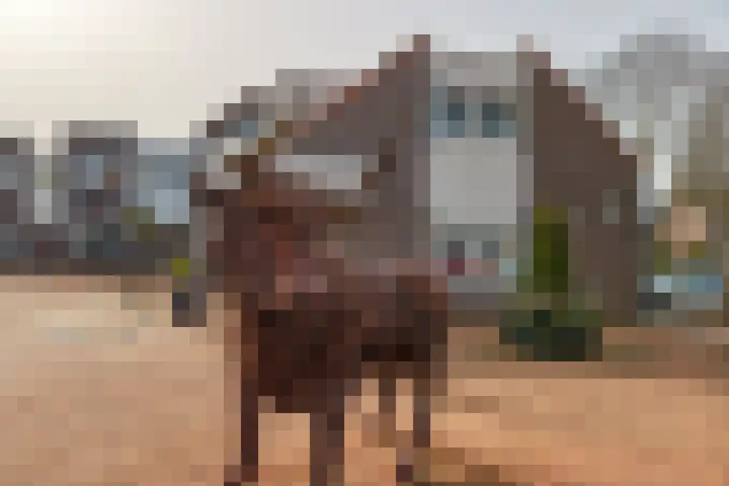Pijpekruidlaan 9 Zoeterwoude thumbnail 34