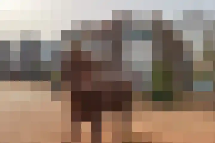 Pijpekruidlaan 9 Zoeterwoude thumbnail 34