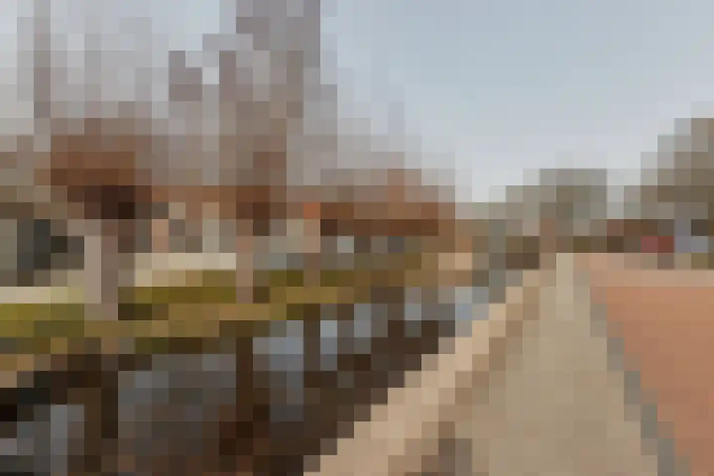 Pijpekruidlaan 9 Zoeterwoude thumbnail 37